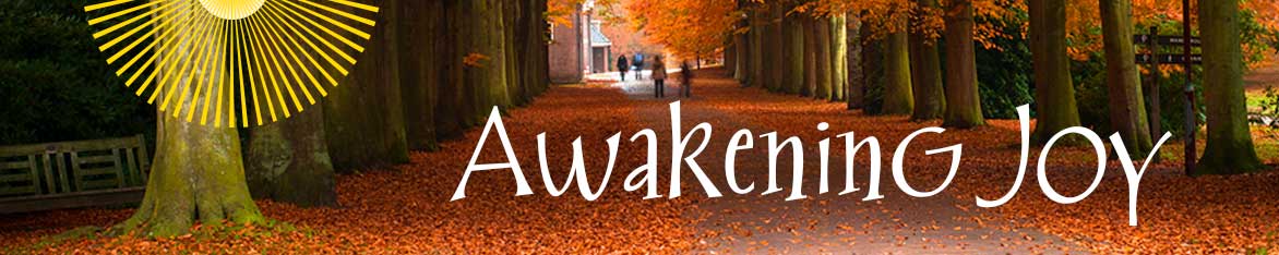 Awakening Joy