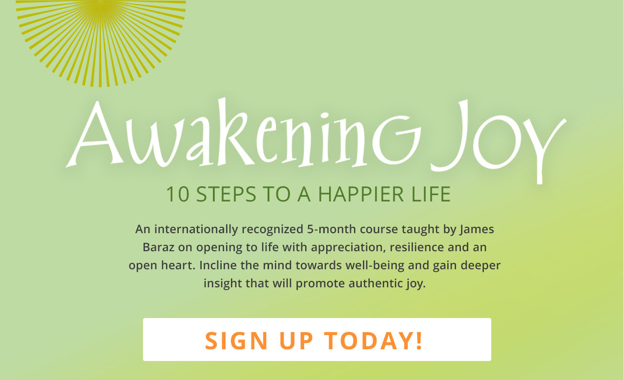 Awakening Joy
